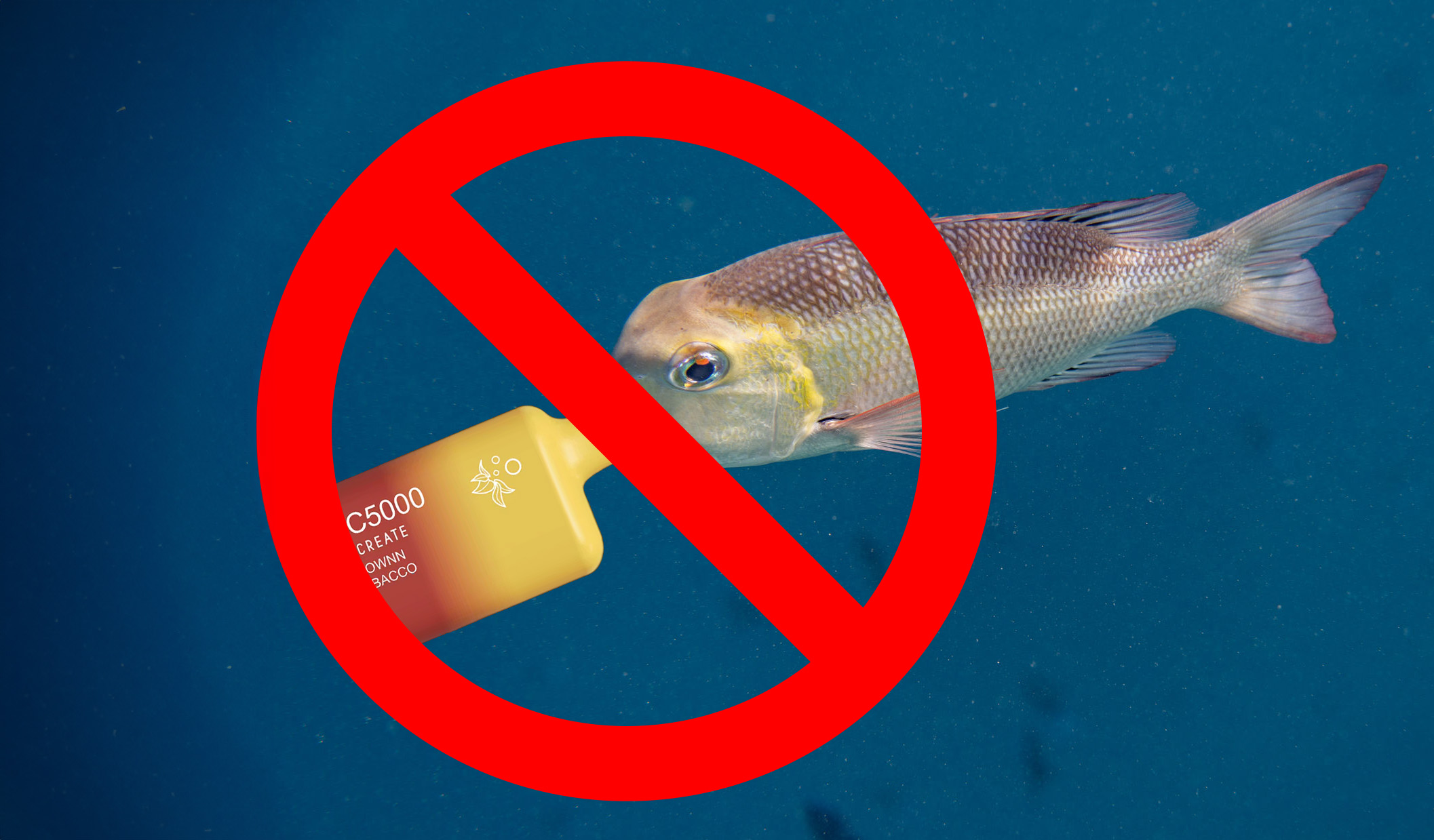 Travel Update: Maldives’ New Ban on Cigarettes and Vapes - What You Need to Know
